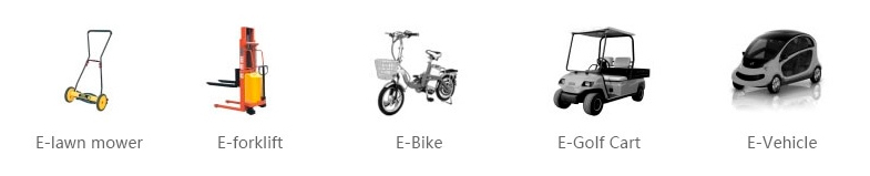 E-bike Battery,E-Golf Cart Battery
